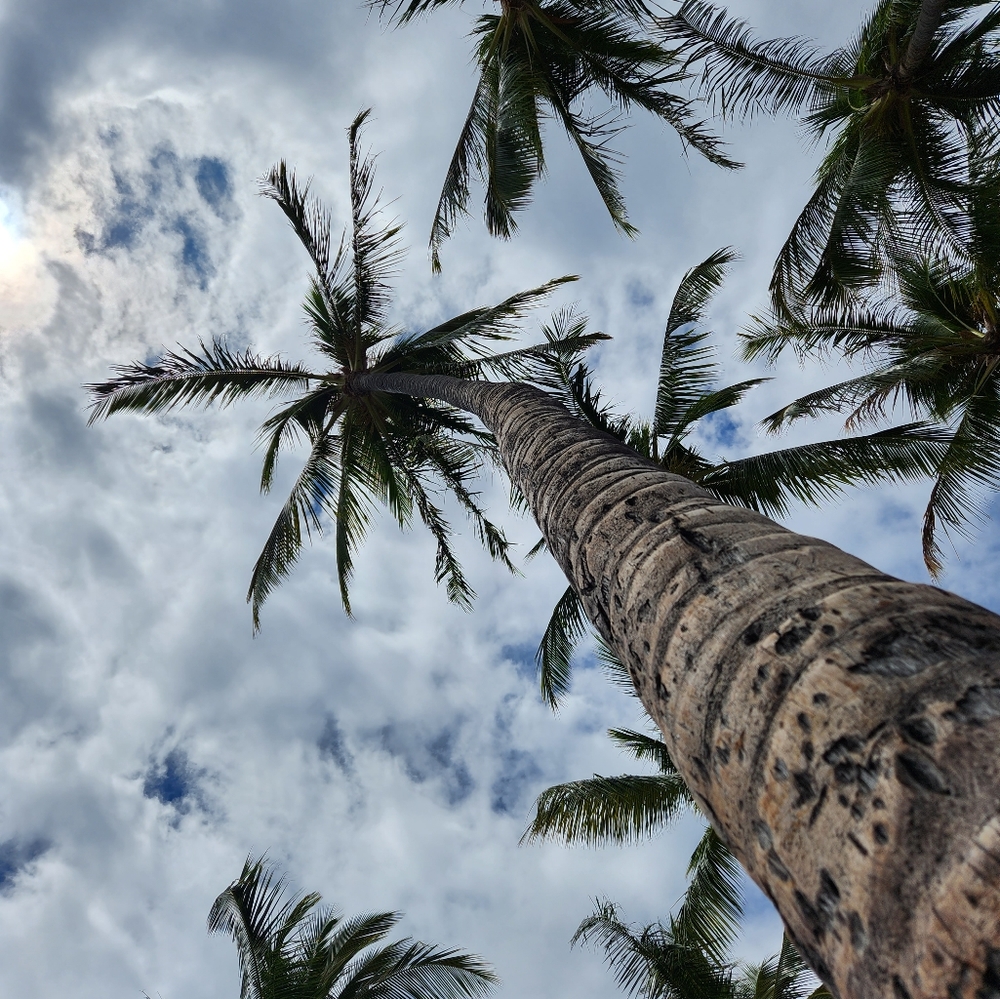 Meet your Posher, Ferol